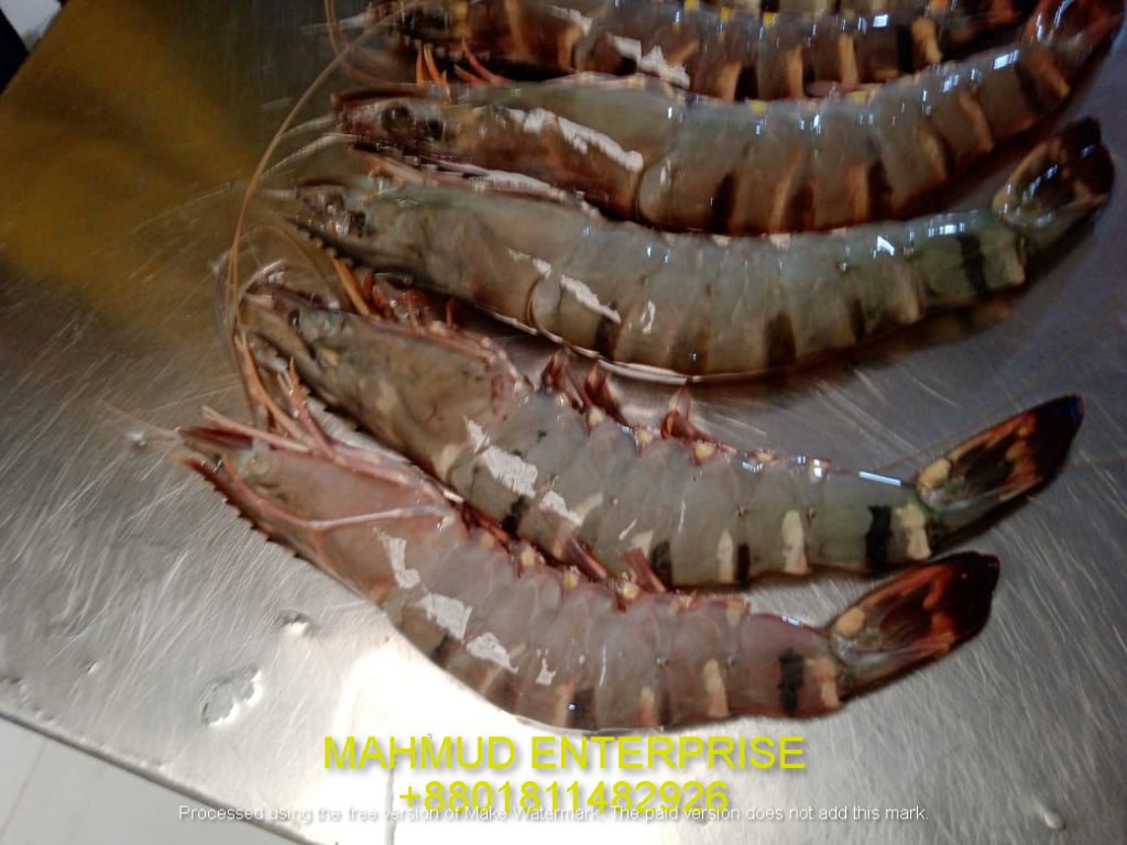 Seafood Export