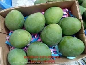 Himsagar mango fruit Box