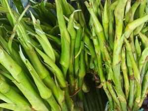 Green vegetable kochur Loti( Taro root)