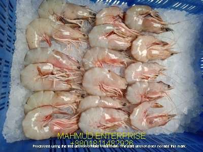 frozen seafood export item white shrimp