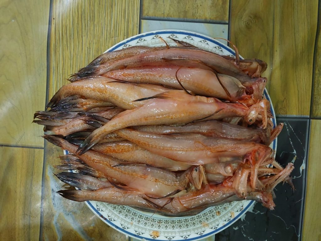 fresh loitta fish