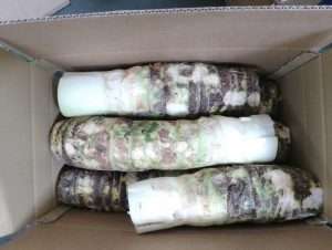 Bangladeshi fresh organic vegetable taro root export