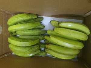 organic green banana exporter